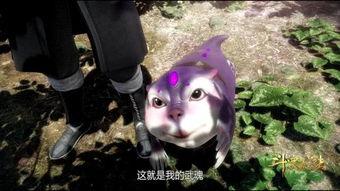 娱乐吃瓜君遛鸟大师,遛鸟大师的传奇人生