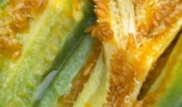 吃蜜瓜甜瓜视频免费观看,视频盛宴等你来