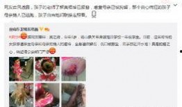 砀山事件爆料视频大全,真相与争议交织的舆论漩涡