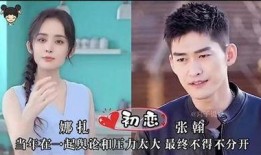 明星初恋爆料视频合集在线观看,明星初恋爆料视频合集大揭秘