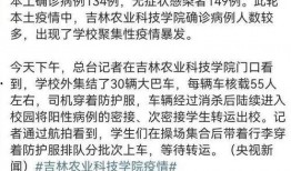 东北高校爆料视频,揭秘校园生活幕后真相