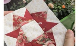 蘑菇爆料视频大全,揭秘热门视频背后的精彩故事