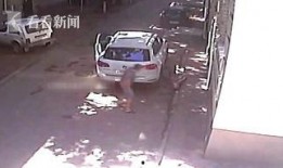 老伯碰瓷爆料视频播放下载,揭秘事件真相与下载攻略