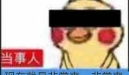 娱乐吃瓜鹅君,揭秘娱乐圈那些不为人知的幕后故事