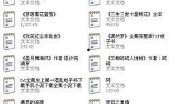 娱乐圈爆料明星小说女主