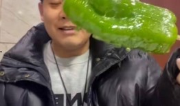 茂名网红吃瓜视频,揭秘当地美食与趣闻