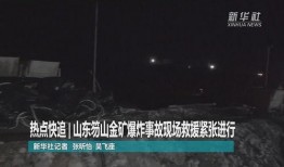 山东事件爆料视频,揭秘背后真相与争议