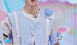 最新爆料白鹿王鹤棣,揭秘这对新晋CP的甜蜜瞬间与幕后故事