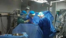 广州杨女士最新爆料,揭秘某事件背后惊人真相