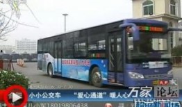 新乡公交车爆料视频最新,网友爆料视频引发热议！