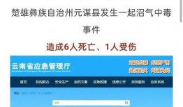 彭州网友爆料新闻最新,惊现神秘事件，真相令人震惊！