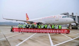 玉林飞机场爆料视频播放,揭秘机场幕后故事