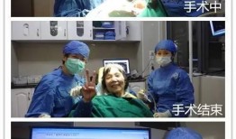 专家惊人爆料视频大全,视频大全背后的惊人真相