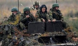 俄军国防部爆料信息最新,揭秘战场真实情况与战略动向