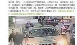 老伯碰瓷爆料视频播放下载,揭秘事件真相与下载攻略