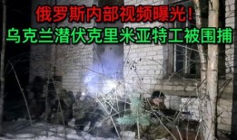 俄罗斯间谍爆料视频,内幕视频曝光惊人真相