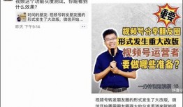 专家惊人爆料视频大全,视频大全背后的惊人真相