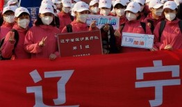 辽宁援沪爆料视频最新消息,抗疫一线的感人瞬间与挑战纪实