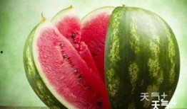 各种网红视频爆料吃瓜群,吃瓜群背后的娱乐风云