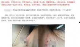 王保强保姆爆料视频,揭秘明星家庭背后的惊人真相