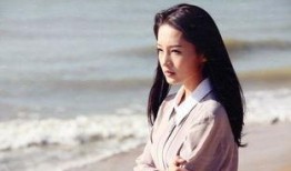 娱乐圈爆料明星小说女主