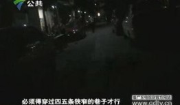 深圳王先生最新爆料,揭秘事件背后惊人真相
