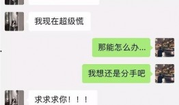 吃瓜网红视频公众号,揭秘吃瓜网红视频公众号的幕后故事