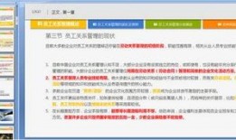 员工爆料视频模板下载,揭开企业内部真相