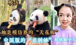 重庆爆料妹子视频大全集,揭秘山城风情与青春活力