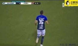 达鲁伊爆料直播视频大全,精彩瞬间大盘点