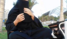 娱乐吃瓜君17,揭秘娱乐圈最新热点事件