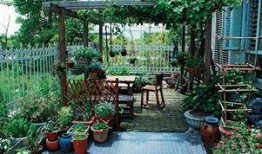 流行花园在线观看