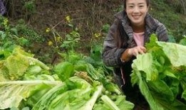 爆料臭豆腐怎么做的呢视频,传统工艺与现代创新的碰撞