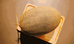 哈密瓜哪里可以免费吃,揭秘免费品尝的神秘之地