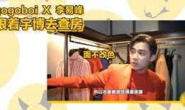 峰哥爆料完整视频大全,完整视频大全深度解析