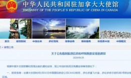 深圳市新闻爆料怎么编辑,聚焦城市热点，解码民生关切