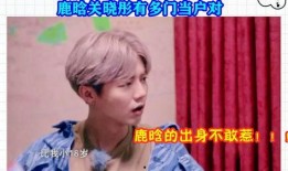 爆料鹿晗父母门当户对视频,揭秘明星家庭背景之谜