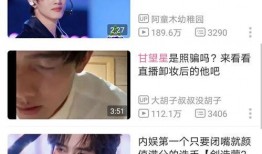 刘宇早期爆料事件视频在线观看,揭秘背后真相与争议