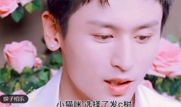 街头日料爆料视频大全,揭秘日料视频大全背后的美味世界