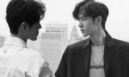 圈内爆料肖战事件,揭秘娱乐圈最新热点事件