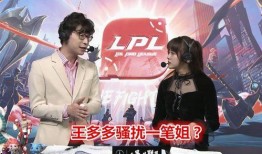 深圳龙岗王姐最新爆料,揭秘背后惊人真相