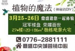 百色今日爆料信息查询最新,揭秘今日热点事件！”