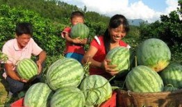 永年网红吃瓜是谁啊视频,视频背后的故事与影响力