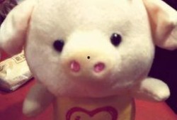 小猪崽子爆料视频播放下载,独家播放下载解析