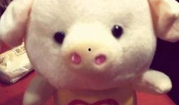 小猪崽子爆料视频播放下载,独家播放下载解析