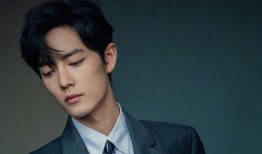 杨紫肖战娱乐爆料视频,揭秘明星幕后故事