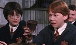 哈利波特最新爆料免费服装,揭秘最新爆料，免费服装福利来袭！