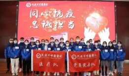 辽宁援沪爆料视频最新消息,抗疫一线的感人瞬间与挑战纪实