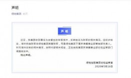 深夜爆料女当事人视频,真相背后引人深思