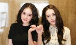 娱乐圈爆料明星小说女主